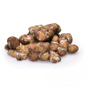 Psilocybe Mexicana